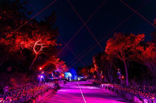 루미버스 퍼레이드카 탑승권